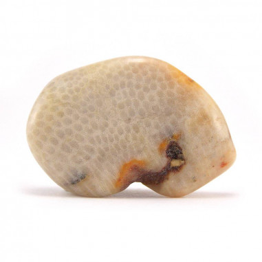 Corail fossile d'agate 2,5 à 3 cm, 5 à 10 g