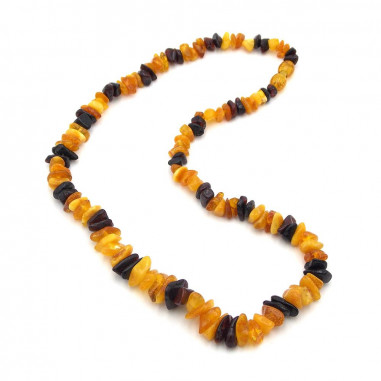 Collier Adulte en éclats d'Ambre véritable Multicolore fermoir à vis