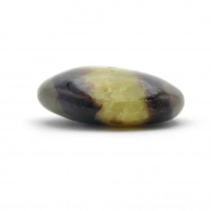 Septaria pierre plate 2