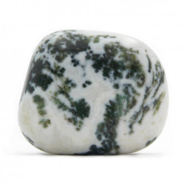 Agate arbre pierre roulée 10 - 15 g