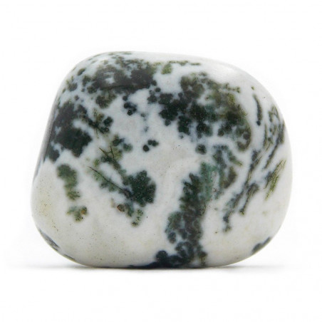 Agate arbre pierre roulée 10 - 15 g