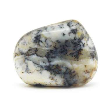 Agate Dendritique pierre roulée