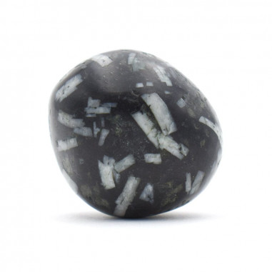 Chrysanthème pierre roulée