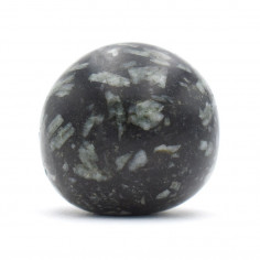 Chrysanthème pierre roulée 2