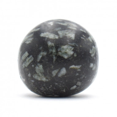 Chrysanthème pierre roulée