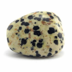 Jaspe dalmatien pierre roulée 2