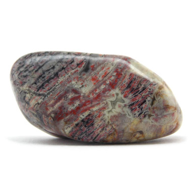 Jaspe feuille d'argent pierre roulée