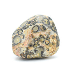 Pierre roulée de Jaspe Léopard  2