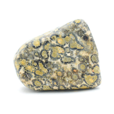 Jaspe Léopard pierre roulée