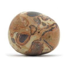 Leopardite (Conglomérat) pierre roulée 2