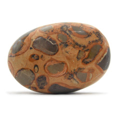 Leopardite (Conglomérat) pierre roulée 2