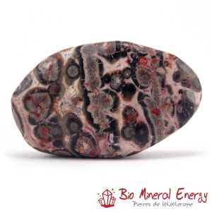 Jaspe léopard d'Afrique du sud