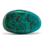 Chrysocolle