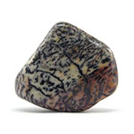 Jaspe feuille d'argent